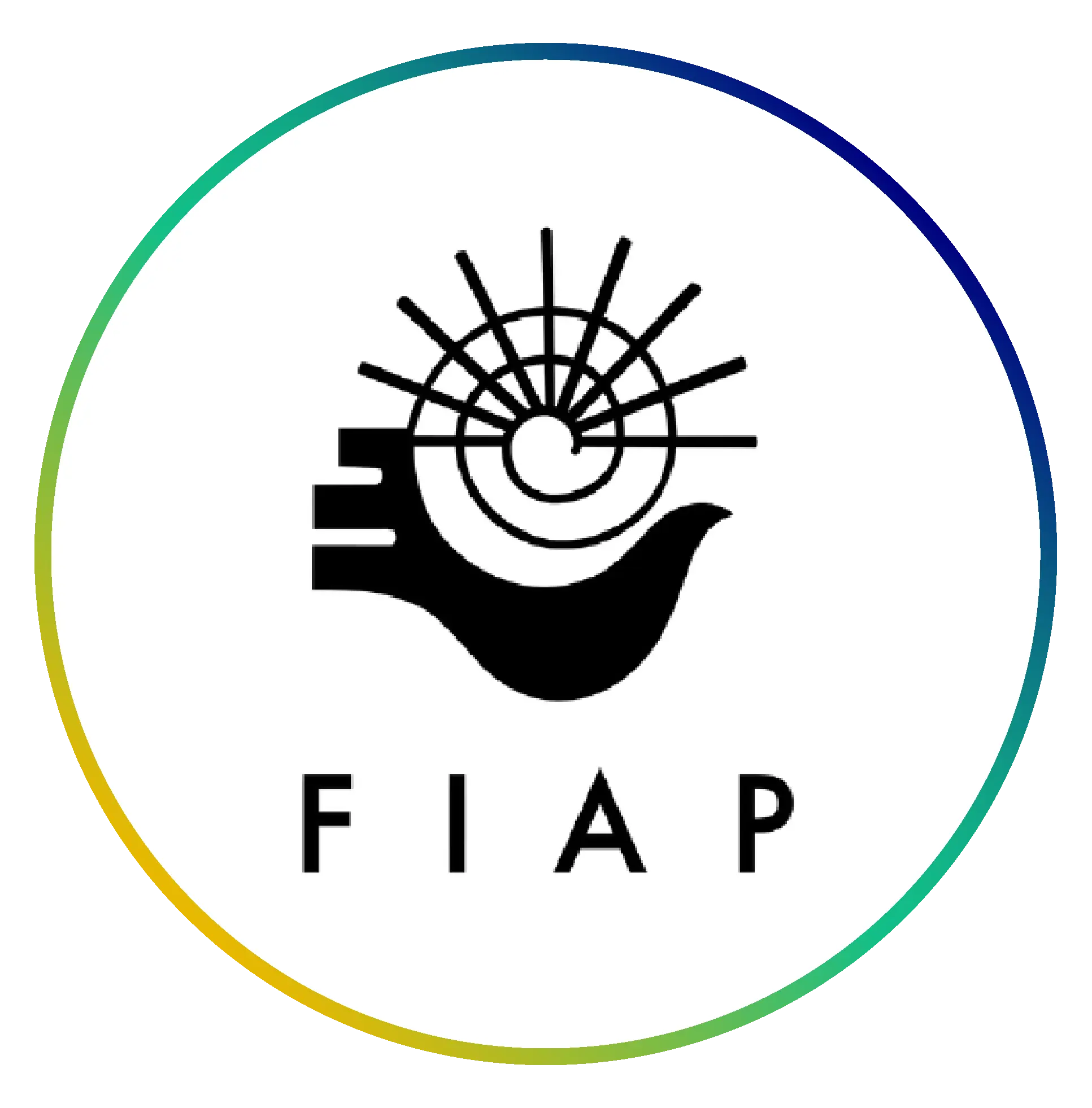 FIAP Latin American advertising festival award